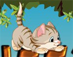 Игра Прыгающий котёнок